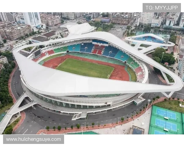 全球体育盛会激发全民热情推动体育产业高质量发展新格局