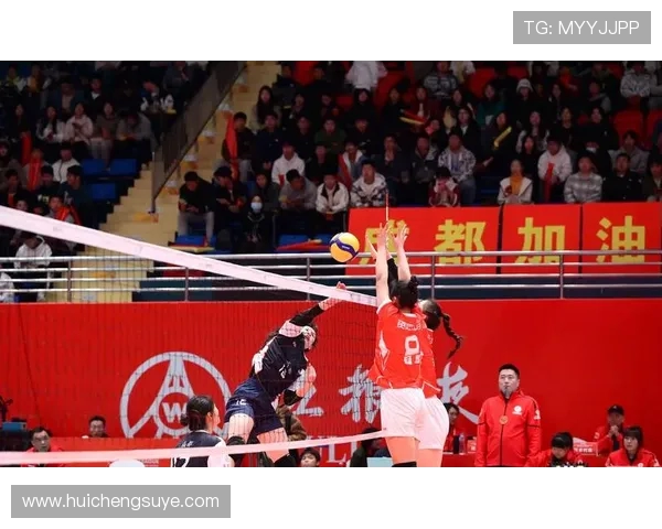 成都排球队灵活性对比分析及其在比赛中的影响探讨