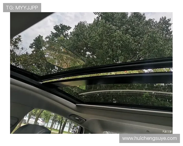 武汉攀岩队的阵地战策略分析与战术解读