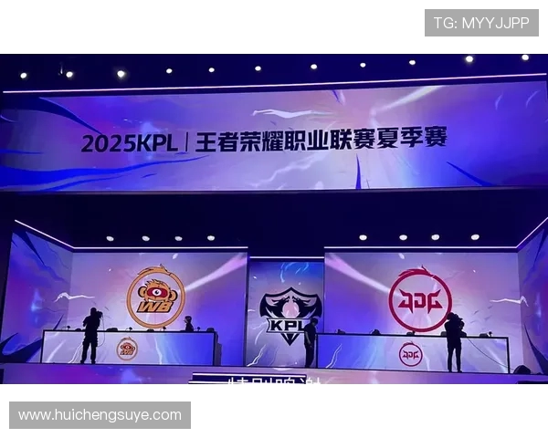 王者荣耀个人能力排名分析JDG战队表现创新高引发热议