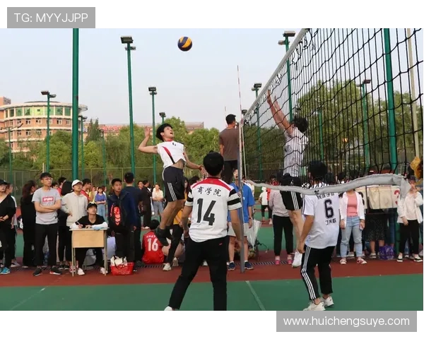 青春拼搏赛场争锋展现团队力量共筑荣耀时刻