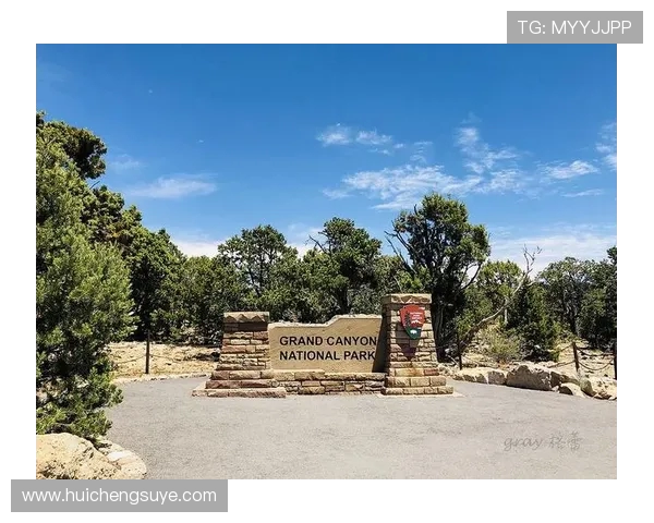 以Canyon为核心打造高效野区统治力的新赛季战术体系